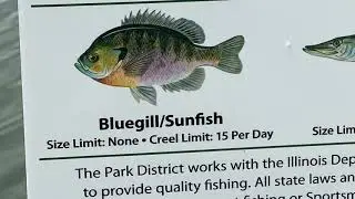 Father&rsquo;s Day Fishing 2020