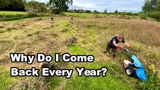 Every Year I Return To This WILDFLOWER MEADOW - Here’s WHY
