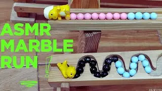 ASMR marble run race #45 with wooden track and colour marbles