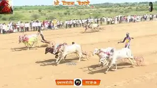 श्री गोयाबा केसरी पुजारवाडी (दिघंची) गट क्रमांक-36