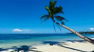 Ukulele Beach - Doug Maxwell