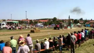 Case 1455 Bremswongziang Otting 2013