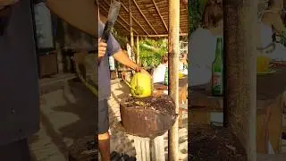 #bali #bali2024 #baliindonesia bali #shortvideo #кокосы #бали2024 #бали #путешествия #подпишись