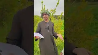 مرات سعيد الاسطوره واخده قرض بمليون جنيه وعم شوقي مش صابر😂ضحك السنين