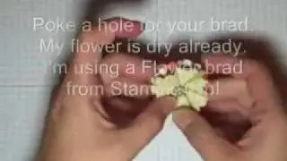 Scallop Flower Tutorial