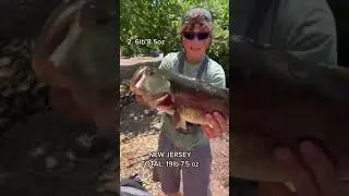 THESE TOP 3 FISH CANT BE BEATEN￼ (New Jersey)