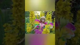 Barbie elina fairytopia magic of the rainbow 2007 doll