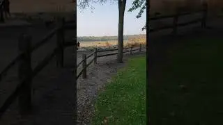 Video of Fishermans Corner, IL from Jessica