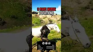 🔥 Top 3 Rare Horse Locations in RDR2  #reddeadredemption2 #rdr2 #rdr2gameplay