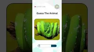 Animal Guessing Game -409 | Can you Guess these Animal Names | Animal Names |#quizzycon  #animals