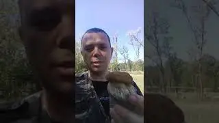 Hr&iacute;by Huby prv&yacute; dub&aacute;k 2018
