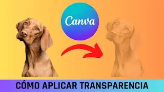 CANVA: C&Oacute;MO PONER IMAGEN TRANSPARENTE EN CANVA (ACTUALIZACI&Oacute;N)