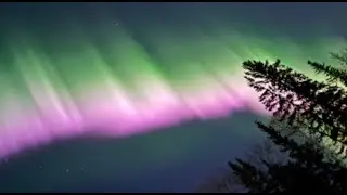 Это случилось снова &mdash; Розовая Аврора | S0 News, 5 октября 2025 г.