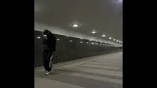 Vida