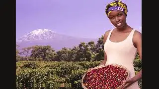 Glimpse Of Kilimanjaro Region