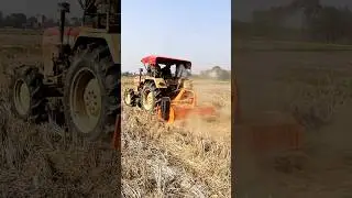 Stubble Mulching #shorts