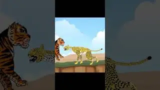 Tiger vs Cheetah Battle