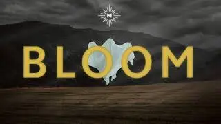 Saint Mesa - Bloom (Lyric Video)