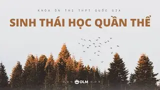 Sinh thái học quần thể (Phần 1) - Sinh học 12 - Ôn thi THPT quốc gia