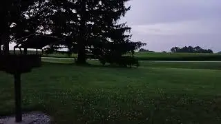Fireflies or Lightning bugs blinking near tree and above lawn grass near a grill in a park.