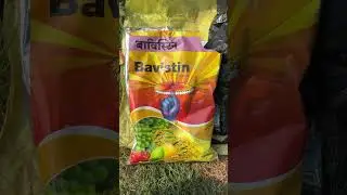 Dragon Fruit Podho Pe Spray Kyu Ho Raha Hai #farmvlog #aftabshaikh #minivlog #dailyvlog #aftabshaikh