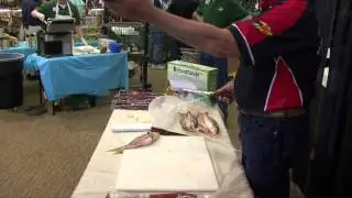 Bass Pro fisherman Captain Brian shows the right way to fillet a fish