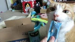 Tiki Cat Stix Unboxing And Review + ASMR | Chewy.com