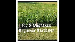 Top 5 Mistakes I did as Beginner Gardener - USA | Illinois Gardening #usa #garden #beginners