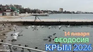 КРЫМ 2026 | ФЕОДОСИЯ | 14 января ❤️🌊☀️⛰️🏄‍♂️🏖️🐬