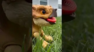 Mattel Jurassic World Primal Protector Aquilops Dolores! #jurassicworld #shorts #subscribe #unboxing