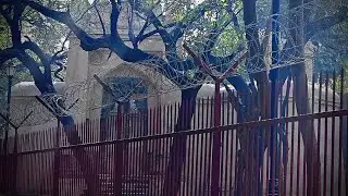 Darna mana hai | EP01