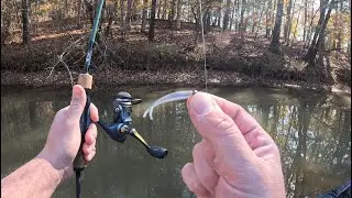 Сверхлегкая рыбалка на Gulp Minnows | СЫРЫЕ И НЕРАЗДЕЛАННЫЕ