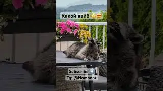 😍😍❤️