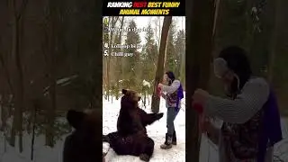 RANKING BEST FUNNY ANIMAL MOMENTS💀🤣🐻 #funny #viral #funnyclips #memes #animals