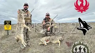 Coyote Hunting in February 2025: AJ GETS REVENGE