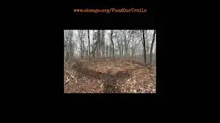 The progression of an A-Mtb trail in Millbury, MA with lots of flow for all. #nemba #emtb #mtb