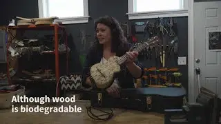 Meet the French luthier making music out of mushrooms