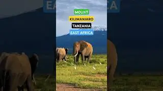 Mount Kilimanjaro, Tanzania, East Africa