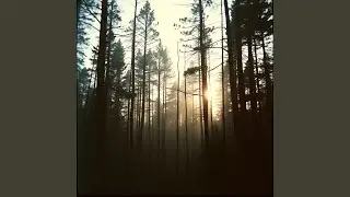 Oath by Firelight