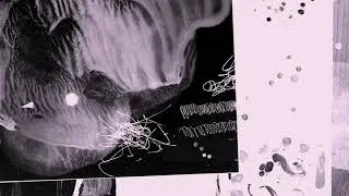 TR/ST - The Stain