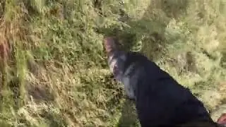A walk through Windy Gowl