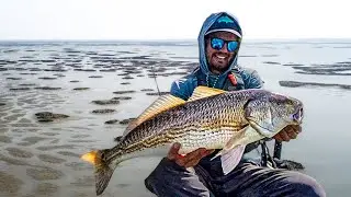 Exploring Charleston Sound: Beast Redfish at low tide