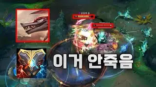 지크 나피리를 해야하는 판