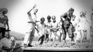 Celebrate the 50th Anniversary of Robert Mondavi Wines