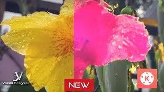 How to change color Effect Kinemaster New 2020