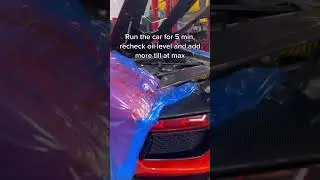 Lamborghini Aventador in the shop for an oil change!
