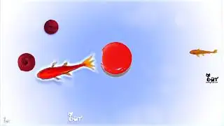 Mettez votre chat devant cette vid&eacute;o !!! &ccedil;a marche !!! c'est tr&egrave;s dr&ocirc;le !!! vid&eacute;o pour chien & chat