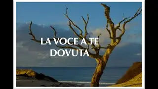 LA VOCE A TE DOVUTA: Pedro Salinas