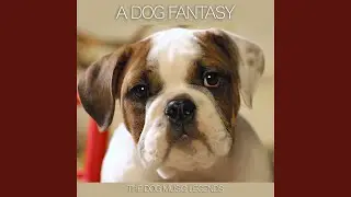 Dog Fantasy