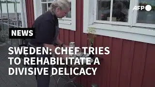 In Sweden, a chef tries to rehabilitate a divisive delicacy | AFP